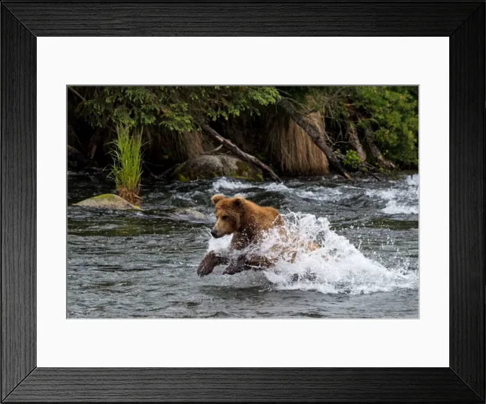 Framed Print : Picture No. 11676429 Framed Print : Picture No. 11676429