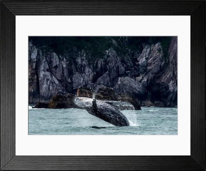 Framed Print : Picture No. 11676435 Framed Print : Picture No. 11676435