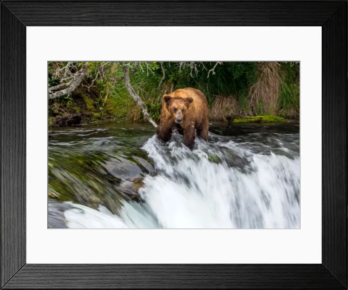 Framed Print : Picture No. 11676432 Framed Print : Picture No. 11676432