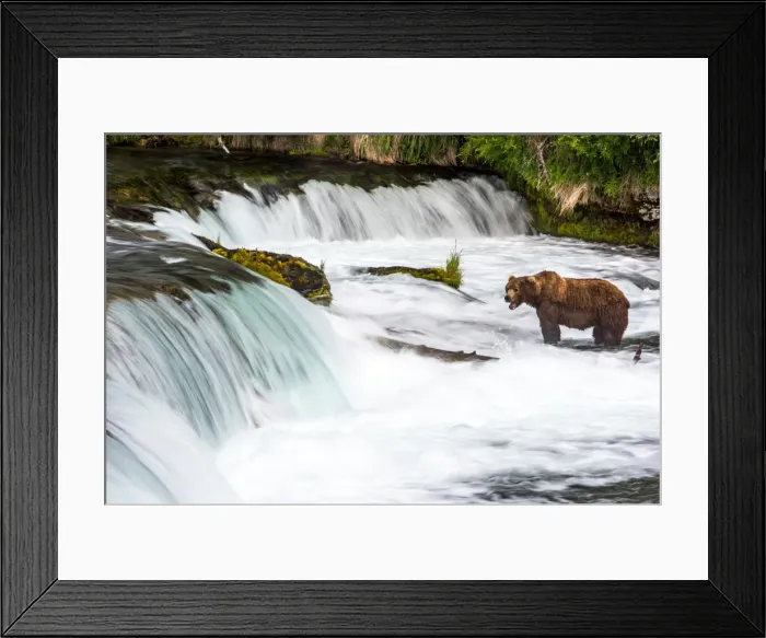 Framed Print : Picture No. 11676437 Framed Print : Picture No. 11676437
