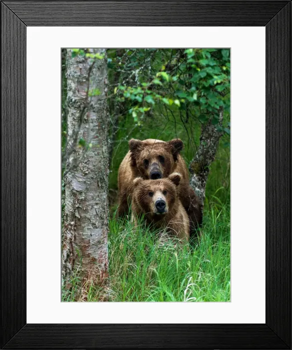 Framed Print : Picture No. 11676439 Framed Print : Picture No. 11676439