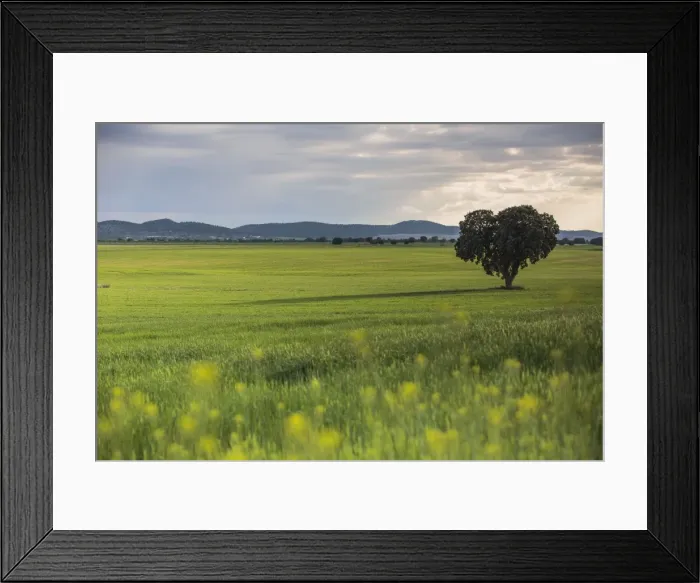 Framed Print : Picture No. 11676008 Framed Print : Picture No. 11676008