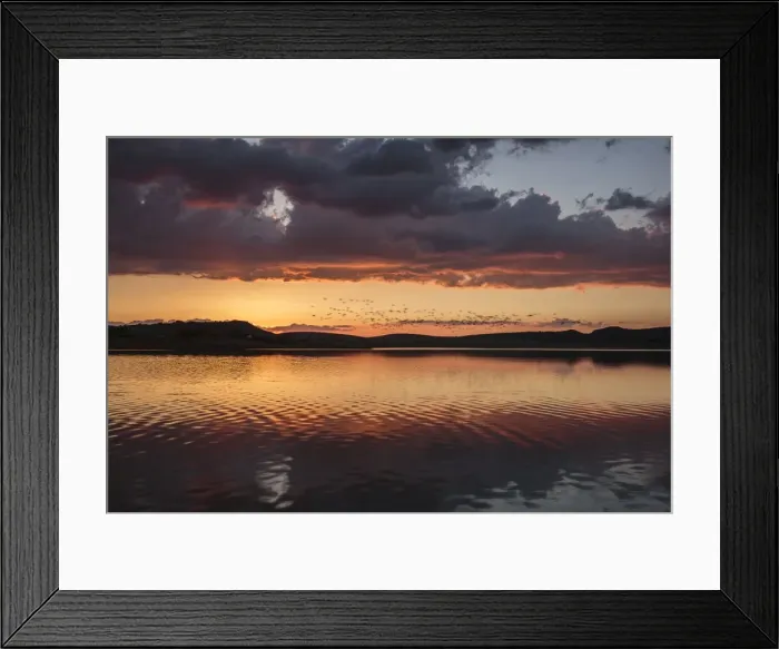 Framed Print : Picture No. 11676010 Framed Print : Picture No. 11676010