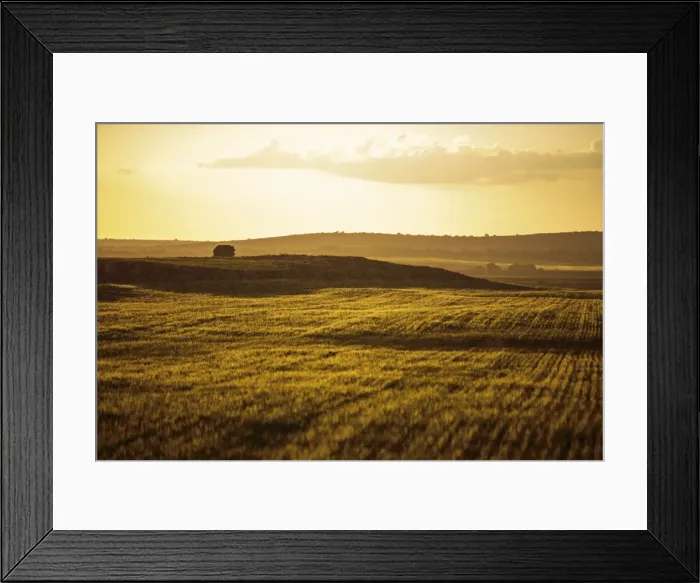 Framed Print : Picture No. 11676009 Framed Print : Picture No. 11676009