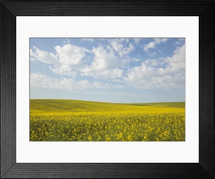 Framed Print : Picture No. 11676020 Framed Print : Picture No. 11676020