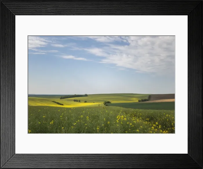 Framed Print : Picture No. 11676021 Framed Print : Picture No. 11676021