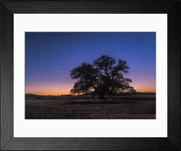 Framed Print : Picture No. 11676026 Framed Print : Picture No. 11676026