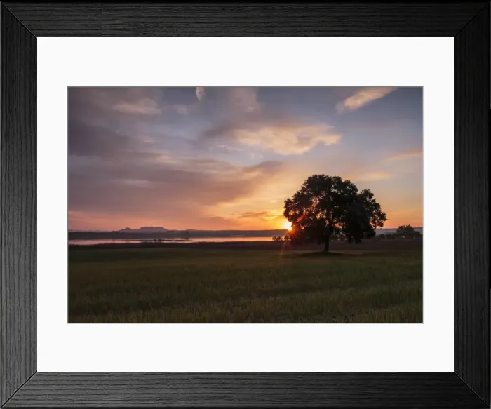 Framed Print : Picture No. 11676028 Framed Print : Picture No. 11676028