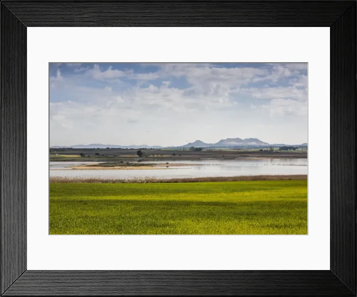 Framed Print : Picture No. 11676029 Framed Print : Picture No. 11676029