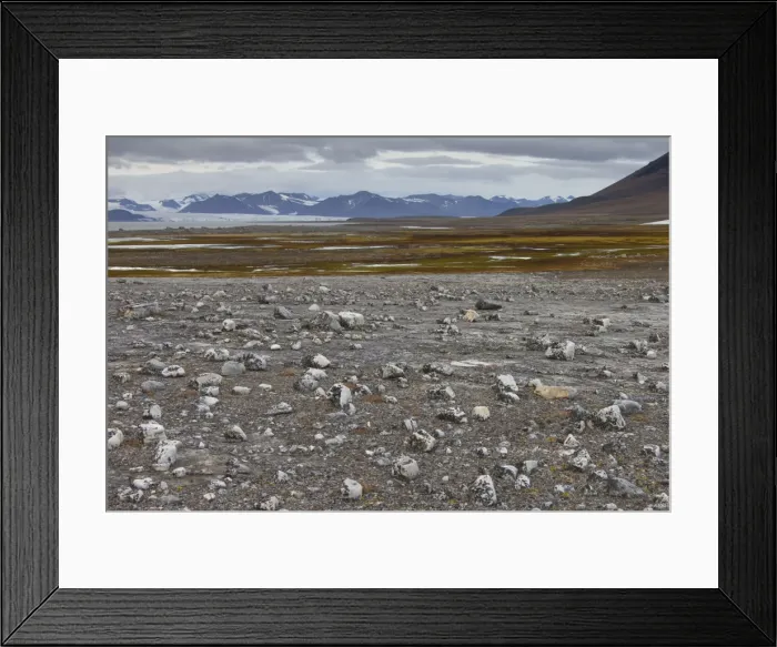 Framed Print : Picture No. 11676664 Framed Print : Picture No. 11676664