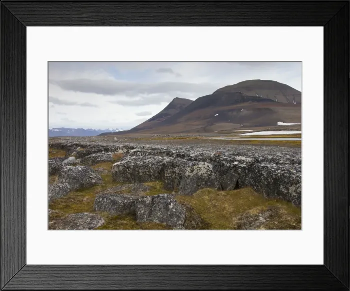 Framed Print : Picture No. 11676665 Framed Print : Picture No. 11676665