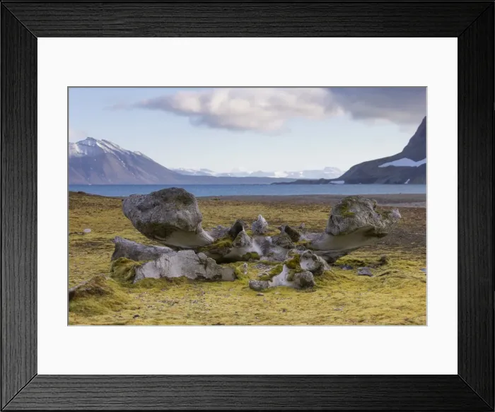 Framed Print : Picture No. 11676673 Framed Print : Picture No. 11676673