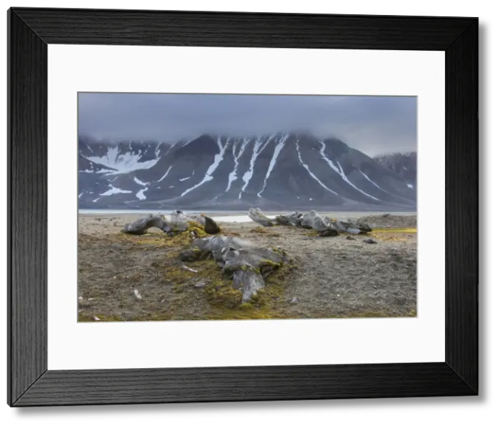 Framed Print : Picture No. 11676674 Framed Print : Picture No. 11676674