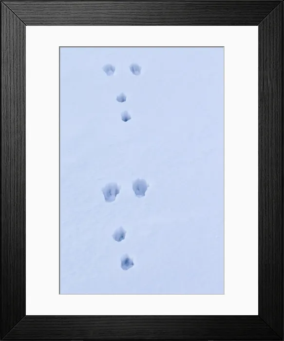 Framed Print : Picture No. 11676675 Framed Print : Picture No. 11676675