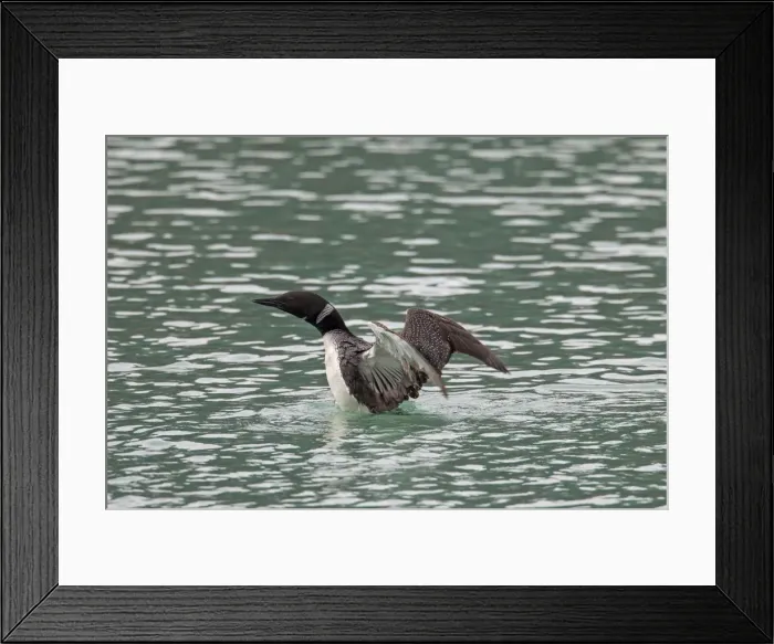 Framed Print : Picture No. 11676452 Framed Print : Picture No. 11676452