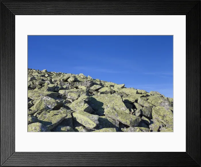 Framed Print : Picture No. 11676468 Framed Print : Picture No. 11676468