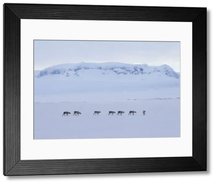 Framed Print : Picture No. 11676518 Framed Print : Picture No. 11676518
