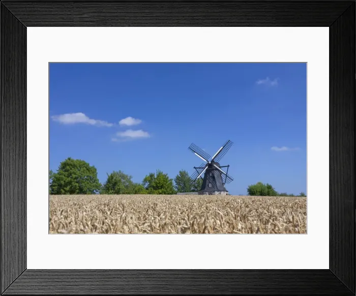 Framed Print : Picture No. 11676526 Framed Print : Picture No. 11676526