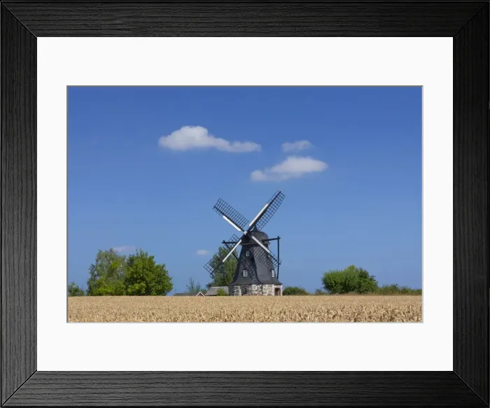 Framed Print : Picture No. 11676525 Framed Print : Picture No. 11676525