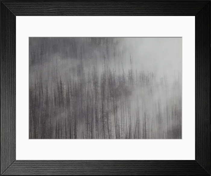 Framed Print : Picture No. 11676586 Framed Print : Picture No. 11676586