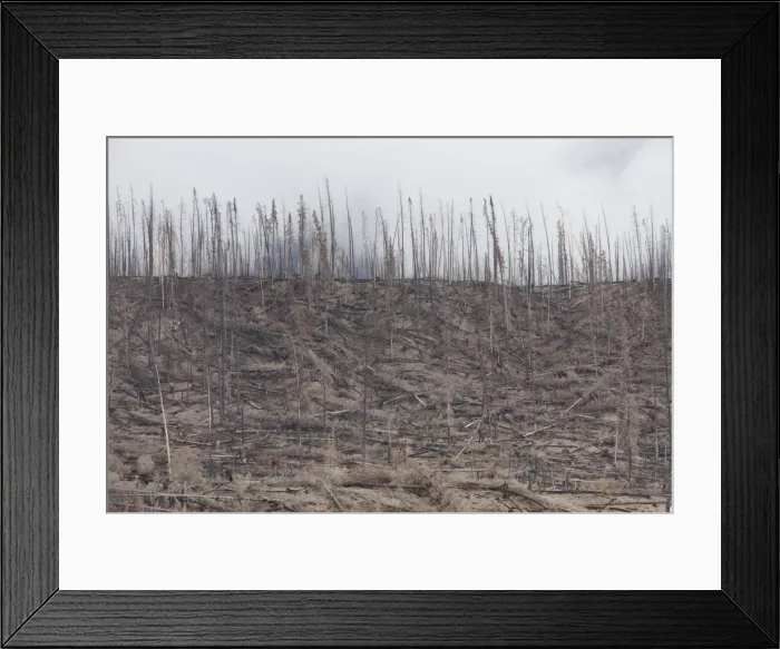 Framed Print : Picture No. 11676589 Framed Print : Picture No. 11676589