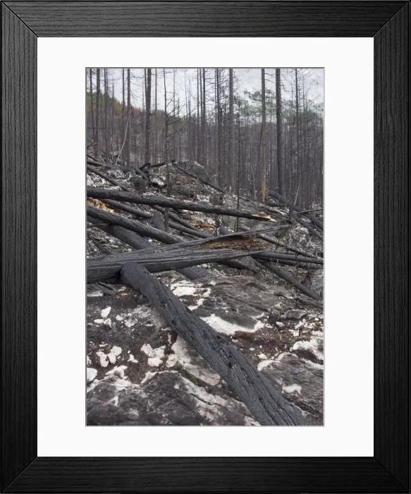 Framed Print : Picture No. 11676591 Framed Print : Picture No. 11676591