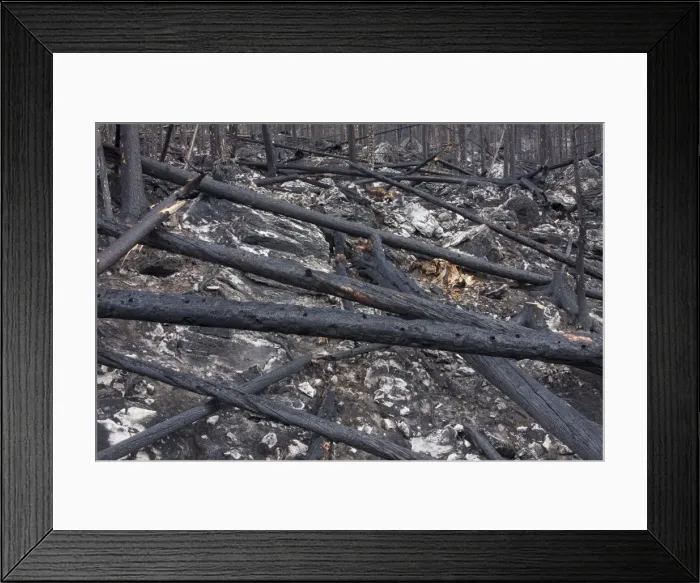 Framed Print : Picture No. 11676592 Framed Print : Picture No. 11676592