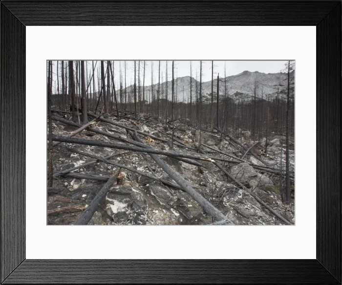 Framed Print : Picture No. 11676593 Framed Print : Picture No. 11676593