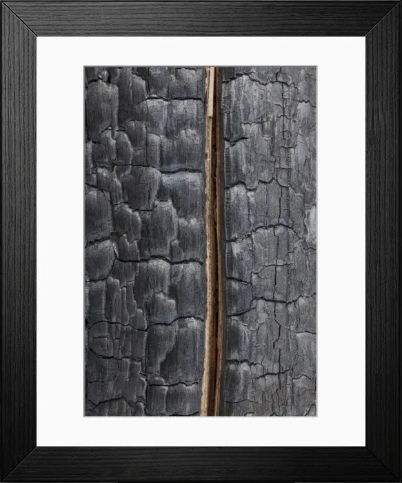 Framed Print : Picture No. 11676594 Framed Print : Picture No. 11676594