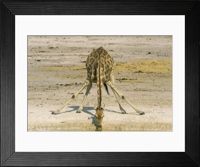 Framed Print : Picture No. 11676036 Framed Print : Picture No. 11676036