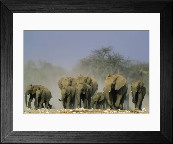 Framed Print : Picture No. 11676037 Framed Print : Picture No. 11676037