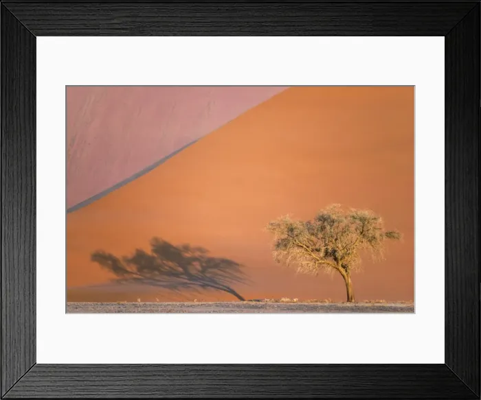 Framed Print : Picture No. 11676038 Framed Print : Picture No. 11676038