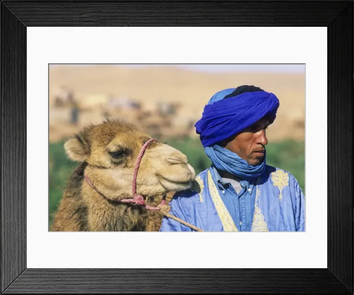 Framed Print : Picture No. 11676046 Framed Print : Picture No. 11676046