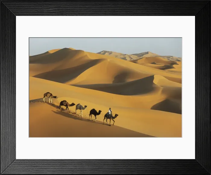 Framed Print : Picture No. 11676047 Framed Print : Picture No. 11676047