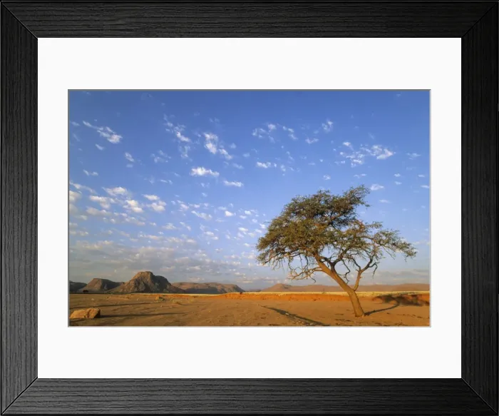 Framed Print : Picture No. 11676049 Framed Print : Picture No. 11676049