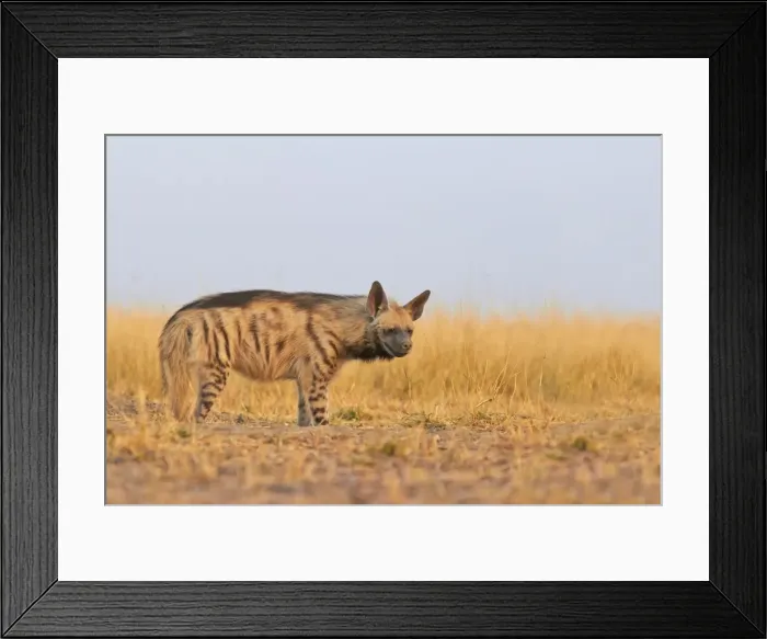 Framed Print : Picture No. 11676813 Framed Print : Picture No. 11676813
