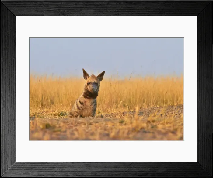 Framed Print : Picture No. 11676814