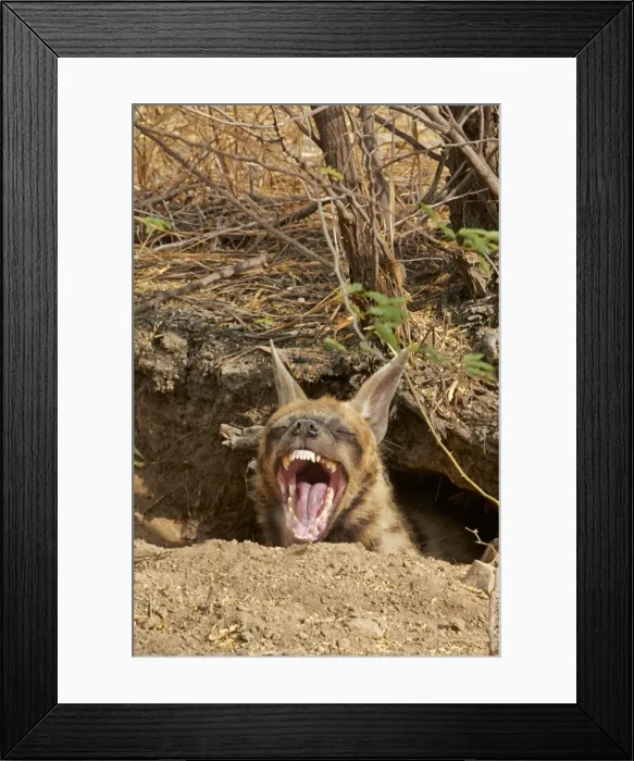 Framed Print : Picture No. 11676812 Framed Print : Picture No. 11676812