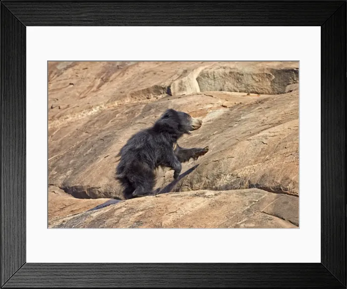 Framed Print : Picture No. 11676845 Framed Print : Picture No. 11676845