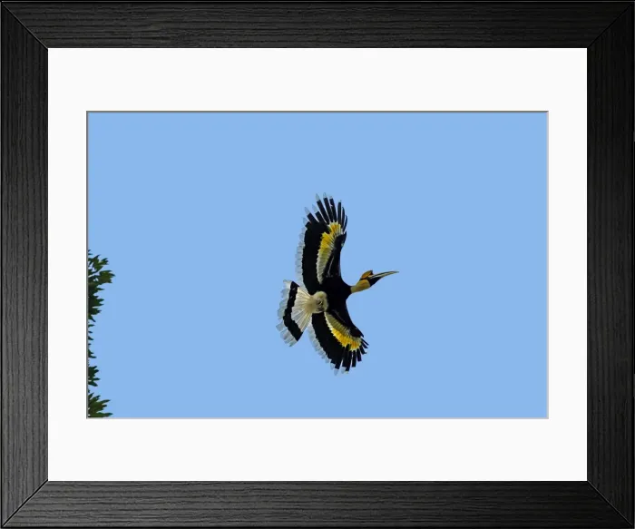 Framed Print : Picture No. 11676858 Framed Print : Picture No. 11676858
