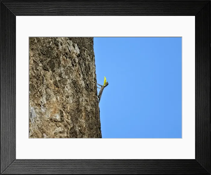 Framed Print : Picture No. 11676877 Framed Print : Picture No. 11676877