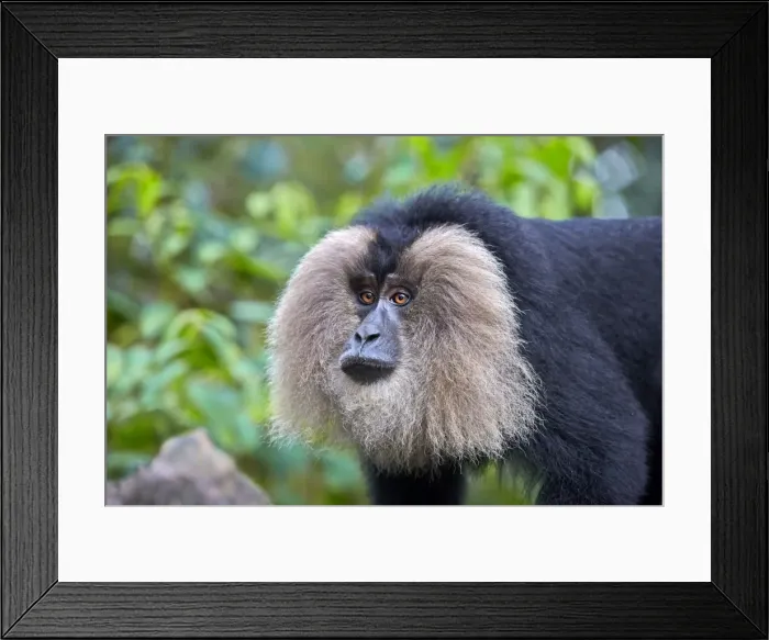 Framed Print : Picture No. 11676881 Framed Print : Picture No. 11676881