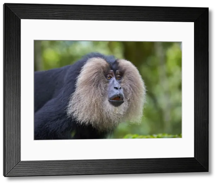 Framed Print : Picture No. 11676882 Framed Print : Picture No. 11676882