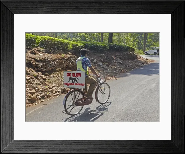 Framed Print : Picture No. 11676878 Framed Print : Picture No. 11676878
