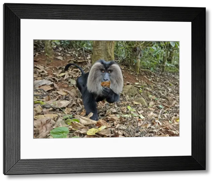 Framed Print : Picture No. 11676907 Framed Print : Picture No. 11676907