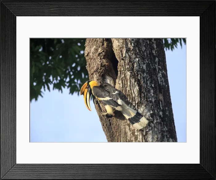 Framed Print : Picture No. 11676924 Framed Print : Picture No. 11676924