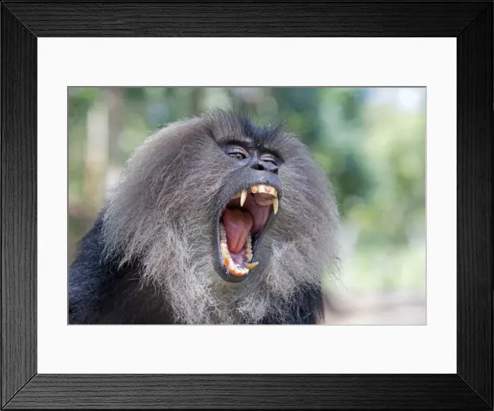 Framed Print : Picture No. 11676949 Framed Print : Picture No. 11676949