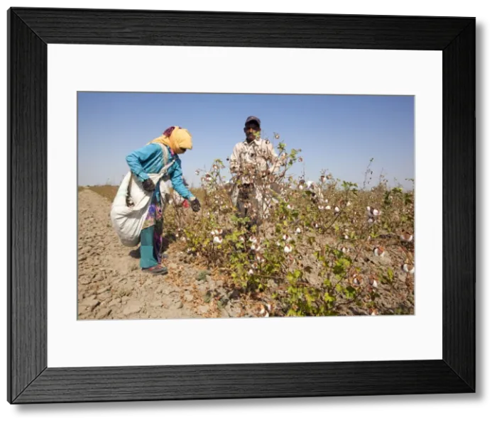 Framed Print : Picture No. 11676972
