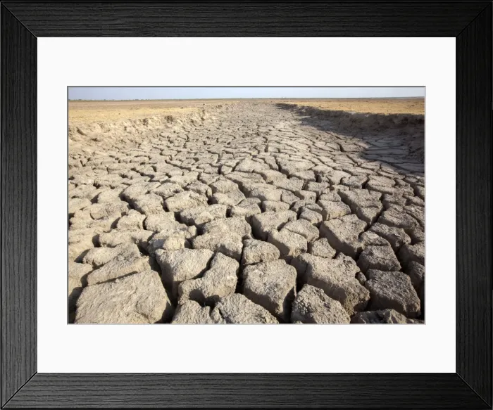 Framed Print : Picture No. 11676982