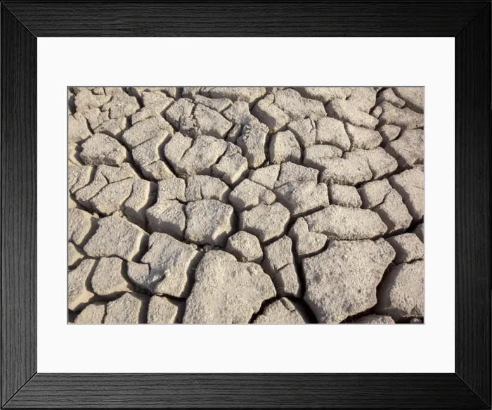 Framed Print : Picture No. 11676984